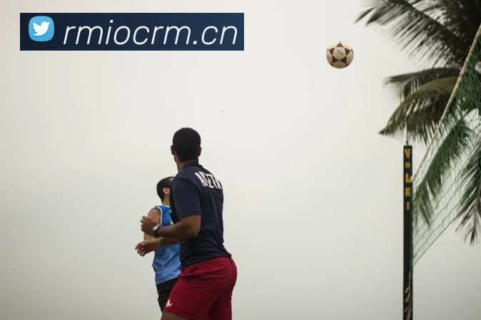 hth在线登录入口平台生态图